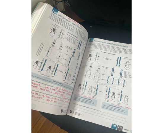 Garage Sales Williamstown -  1225