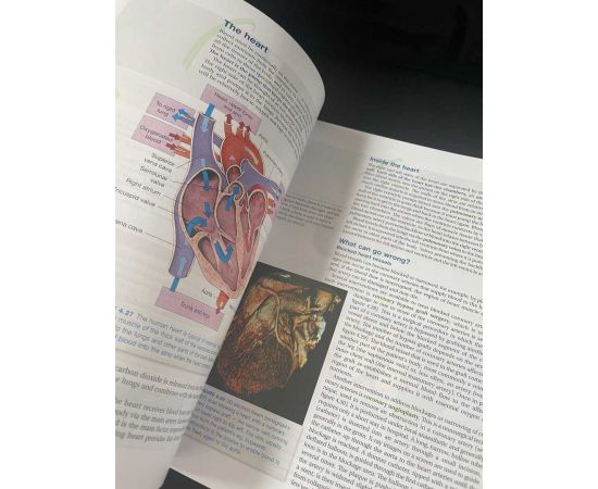 Garage Sales Williamstown -  1218